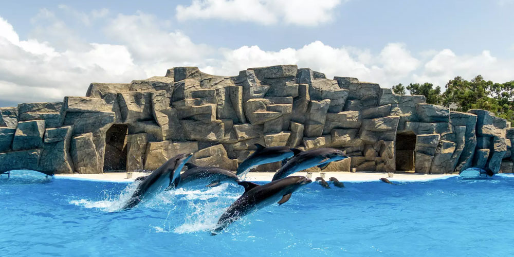Batumi-dolphinarium