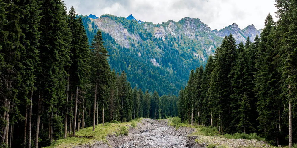 Racha-Lechkhumi-Kvemo-Svaneti-Res-shovi-udziro-tba-vil-glola